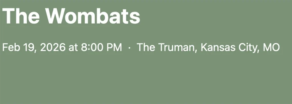 The Wombats at The Truman